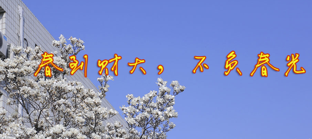 [高考]除了两财一贸,这三所财经大学也不错,高考分不高,但就业前景好