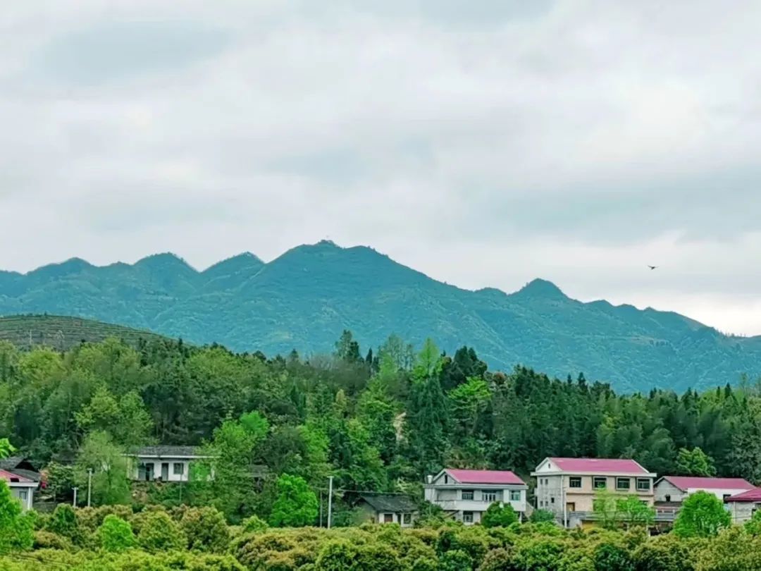 沅陵: 四月,我仰望故乡