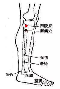 急腹三里肾精灵 13. 上牙下