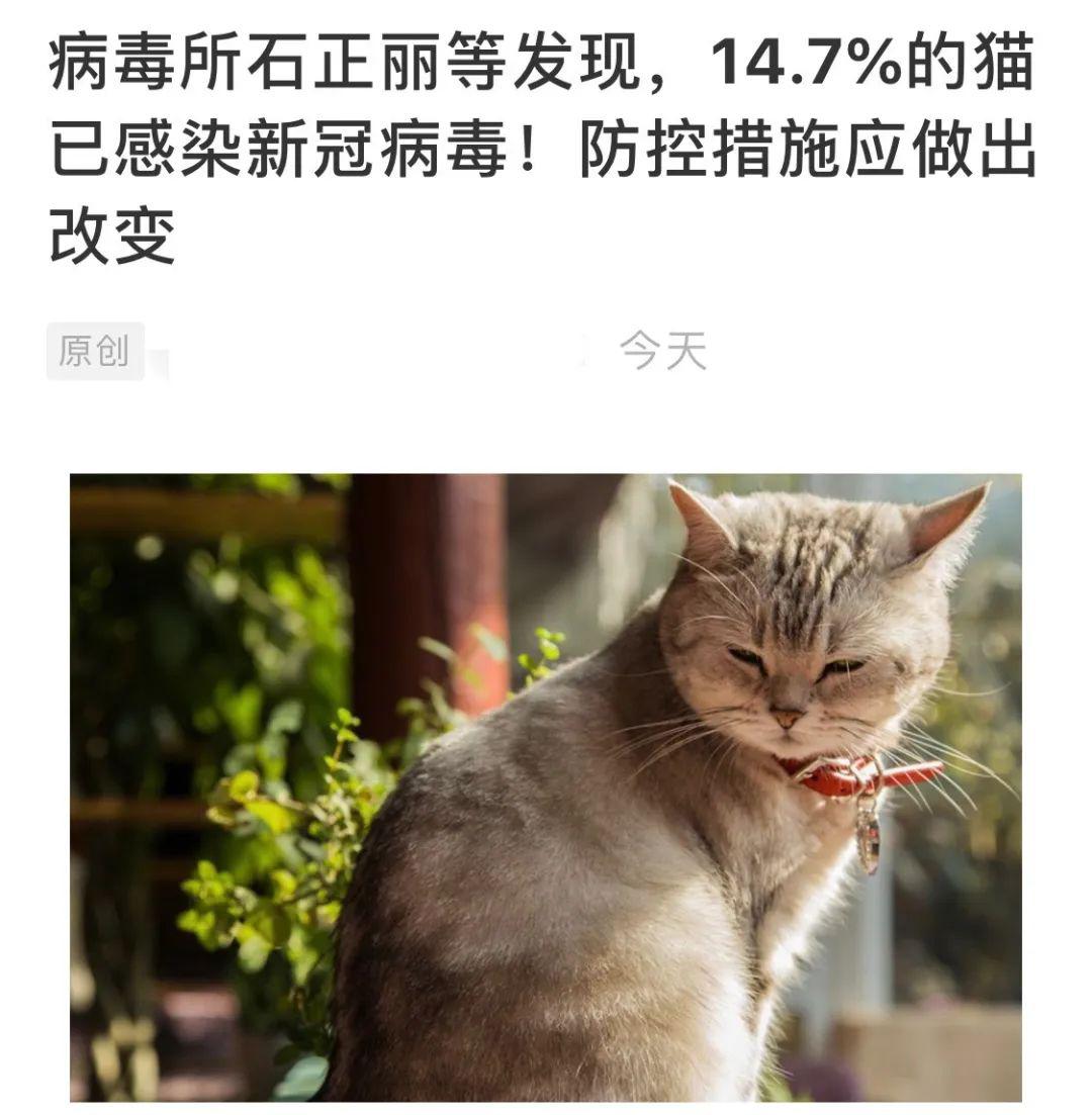 这几天出了两篇论文,都是关于猫和新冠状病毒的