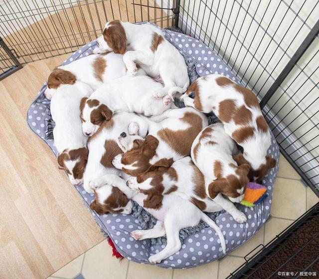 3479322e96bc4b88b24336f0aeba01e7.jpeg