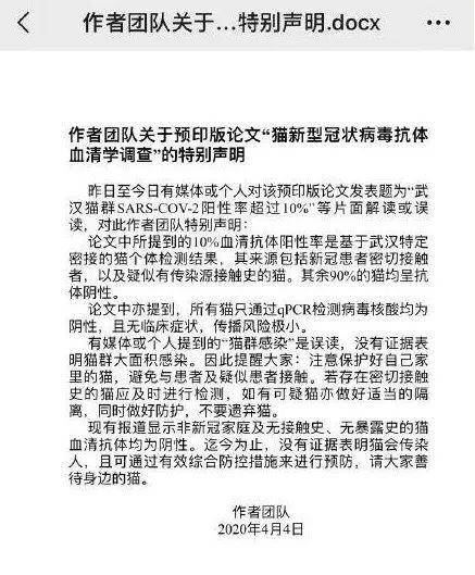 「动物」是怎么抓到的？102只新冠病毒检测猫中的流浪猫