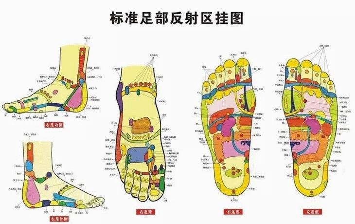 热敷,按脚,按腿,还能按背!_经络