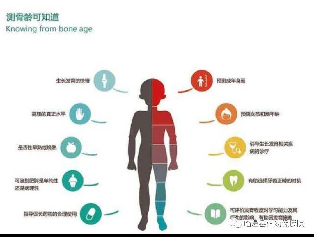怎么看骨龄的正确方法 3ca9d0adb5714ae98c5fc20395d8194d.jpeg