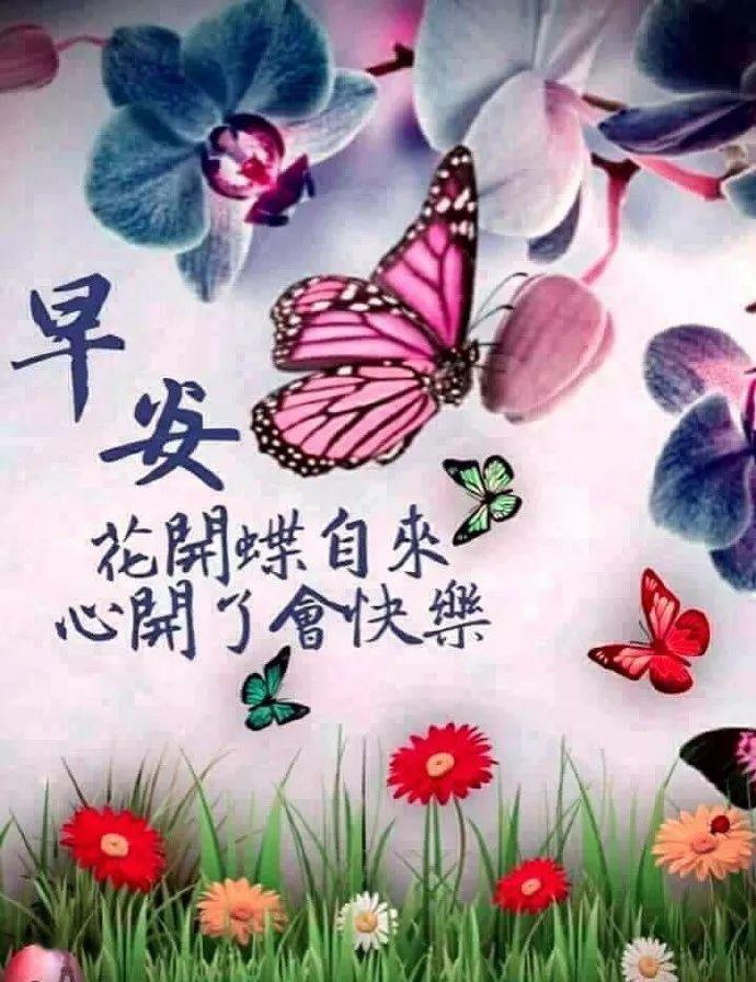 4月最新版早安图片问候祝福语录鲜花带字,早上好表情问候祝福语录