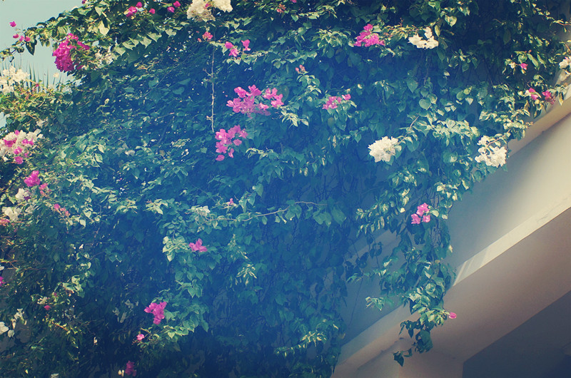 哈尔滨工程大学排名_哈工程学费哈工程学生医保