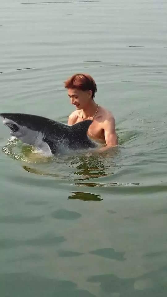 ps恶搞第175期:求大神把狗p成大鱼,最后一图魔性!