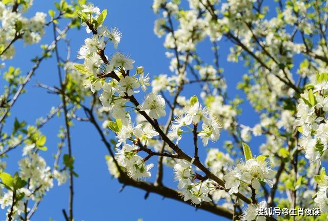 4月 谎言如蛊 伤透情人心 3生肖狠心分手 整理感情 不再回头 事情