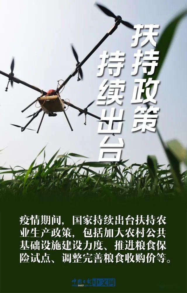 什么囤粮成语_粮囤图片
