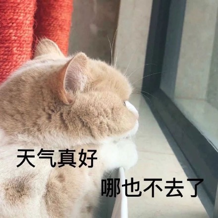 好想出去玩表情包