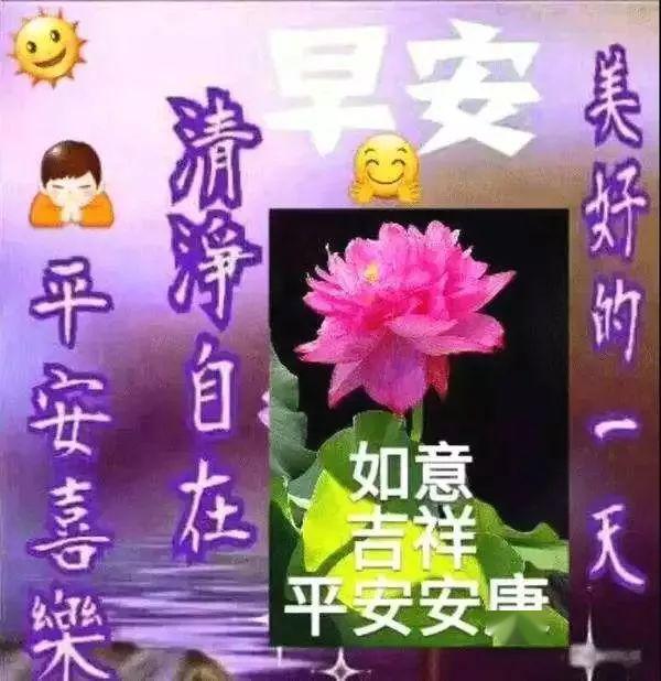 清晨最暖心的早安祝福问候话,漂亮早上好问候动态图片