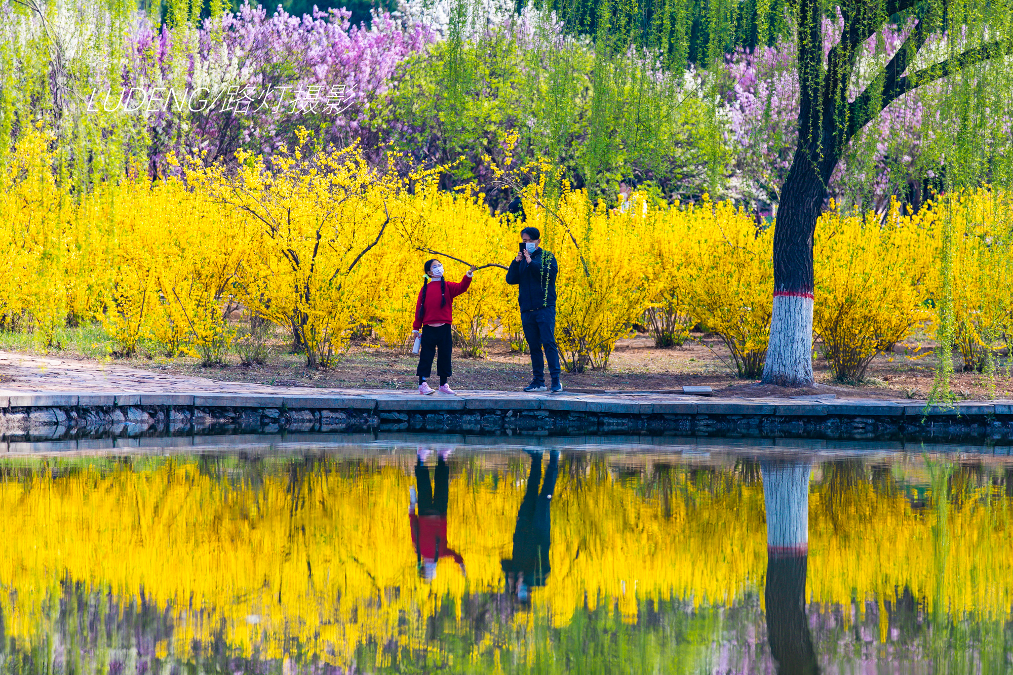 春游河北t,不可错过的5处踏青赏花地xi,每一眼都qi"如诗如画7