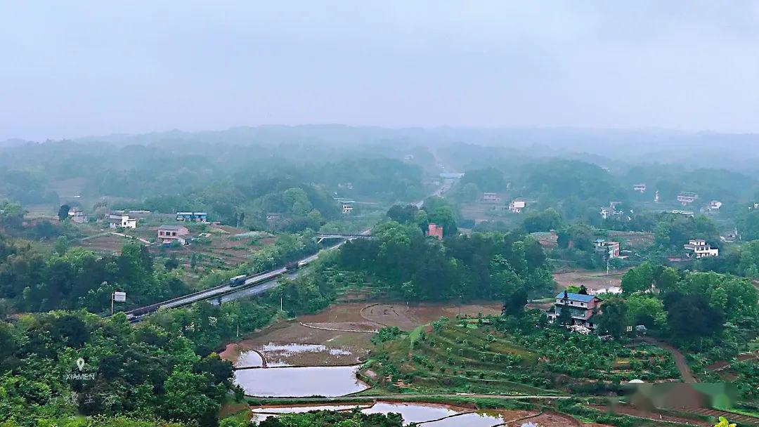 江津区石蟆镇:首批蔬菜成熟上市,丰富市民"菜篮子".