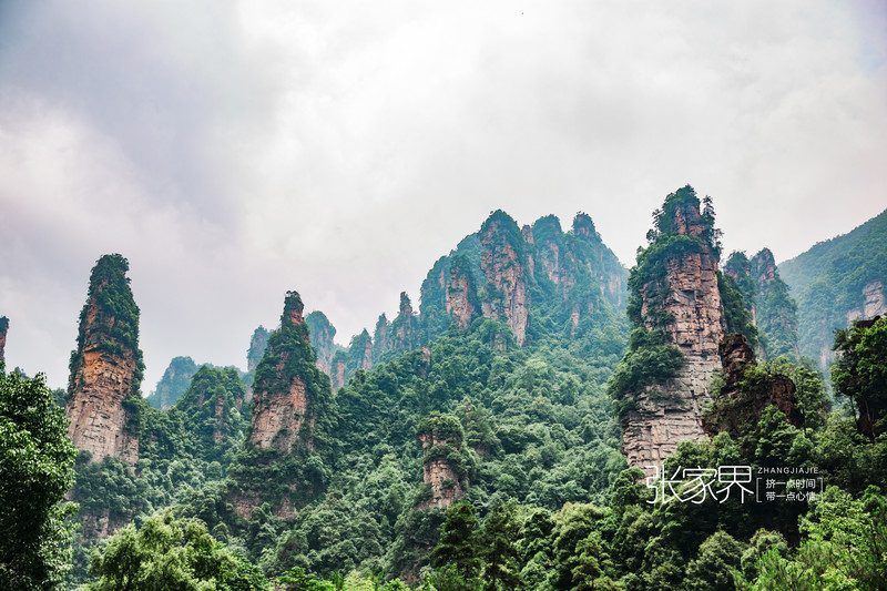 张家界旅游景区和凤凰古城游玩顺序如何安排