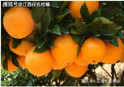 db51bc670b3548bcb68d241d44db267f.jpeg