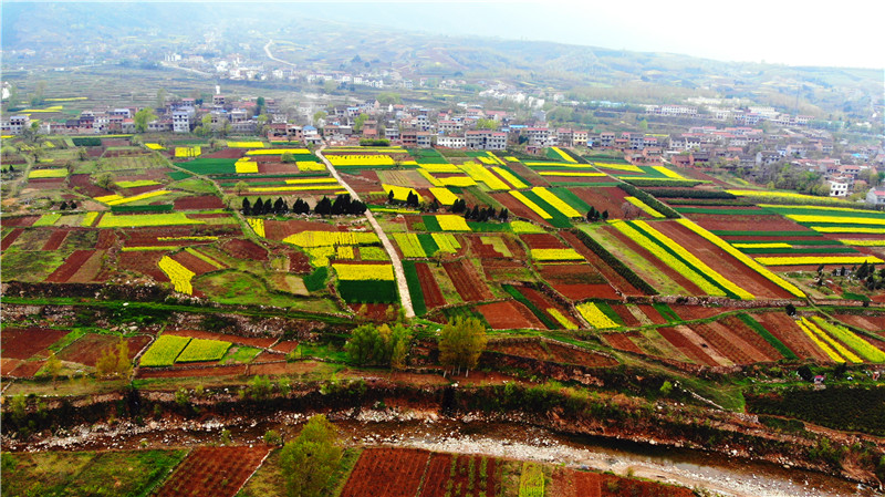 空中俯瞰西安蓝田县玉山镇九间房镇的油菜花大地油彩画板