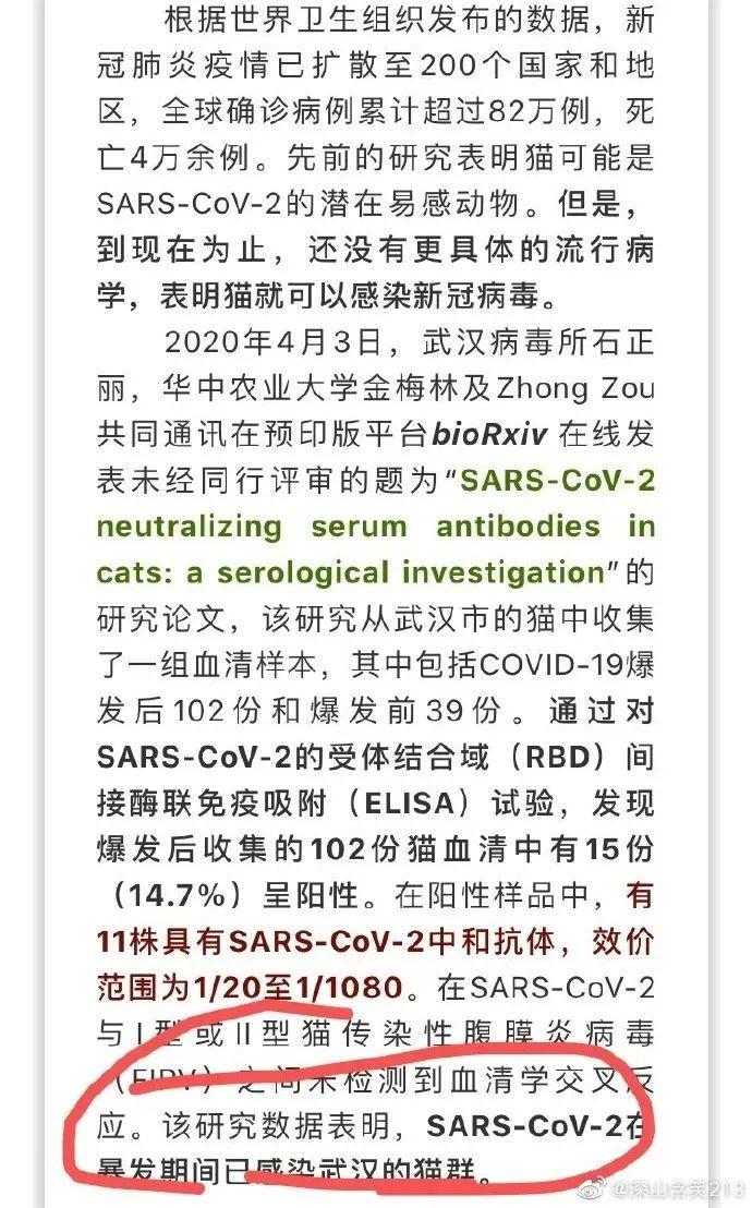 研究团队亲自辟谣：“14.7%的猫感染新冠病毒”是误导！