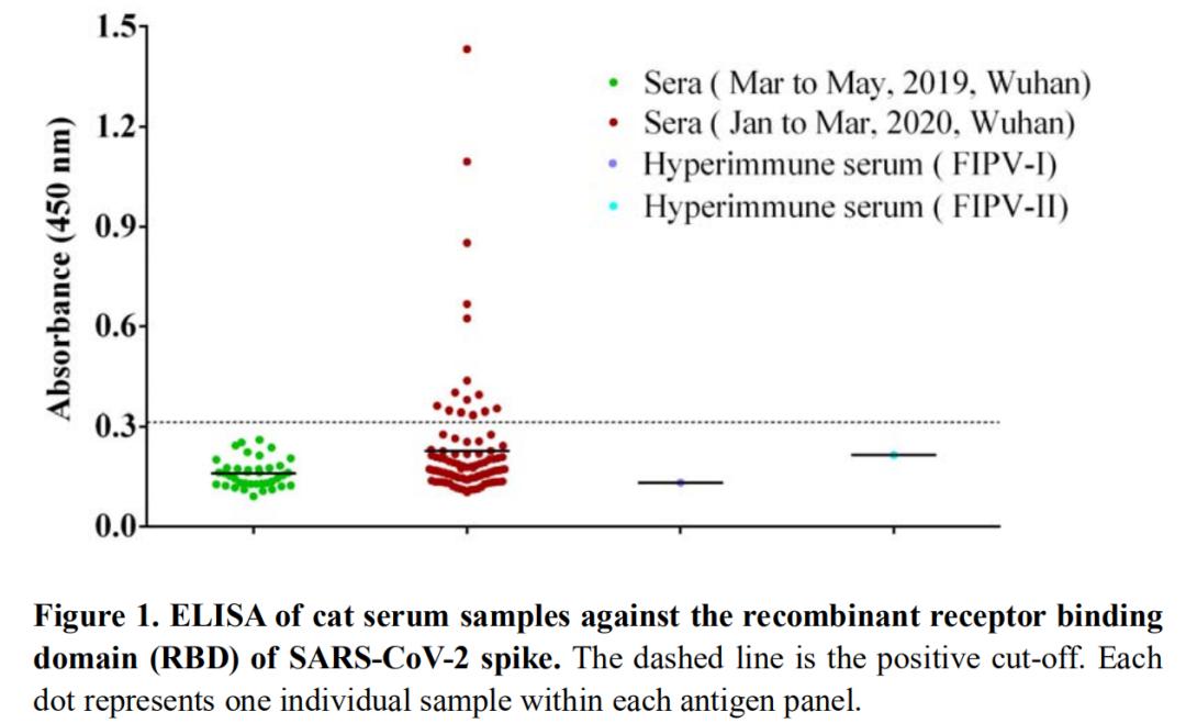 研究团队亲自辟谣：“14.7%的猫感染新冠病毒”是误导！