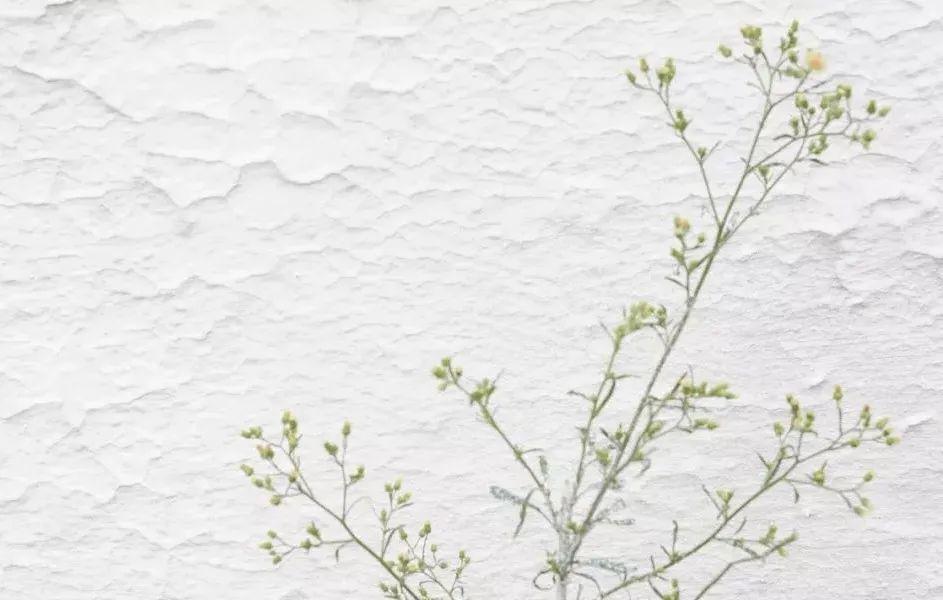 疯子的世界是什么样子的 ea4c215aef2146f9a26b4d31bae21ae7.jpeg