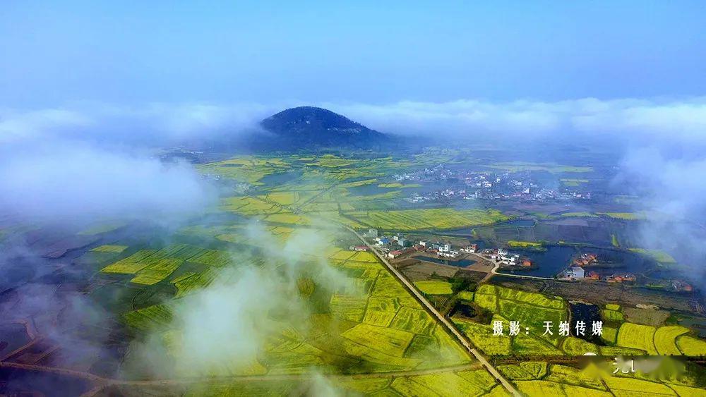 光山县仙居乡国家农业公园种植的万亩油