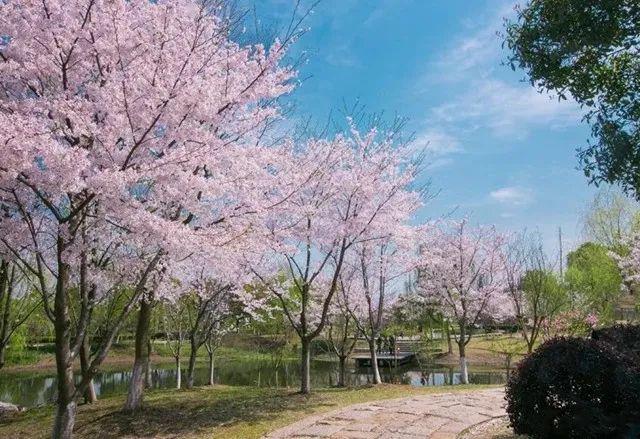 地址:阳澄环路333号(阳澄湖畔半岛旅游度假区)