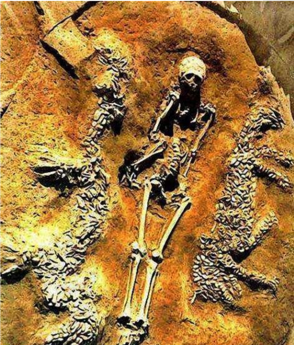 6500年前古墓惊现龙虎图,墓主脊柱被砍,专家推断墓主也许是蚩尤