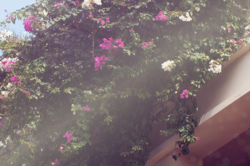 2020年土木工程高考_2020年土木工程学科排名:同济居首,浙大第三,河海表