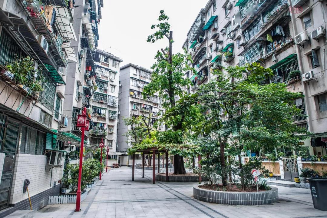 广州微改造②丨"绣花"功夫,让老旧小区更优雅