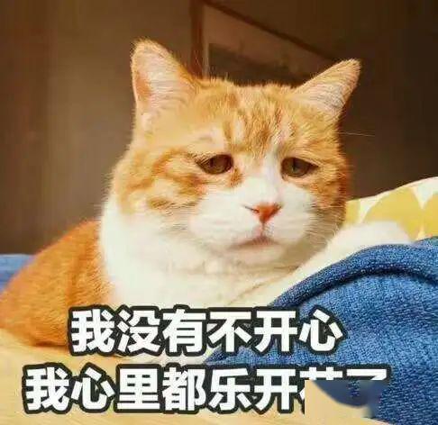 105542e3397a46258f099b55fe91d10c.jpeg