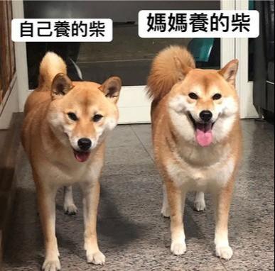 143ab5ce1678417e82c4a262328d1951.jpeg