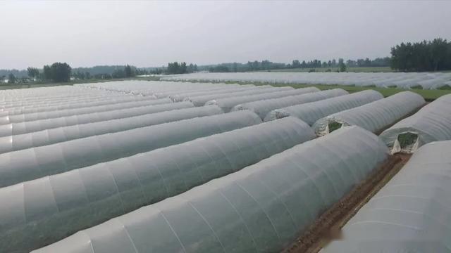 太和县郭庙镇2019经济总量_太和县双庙镇地图(2)