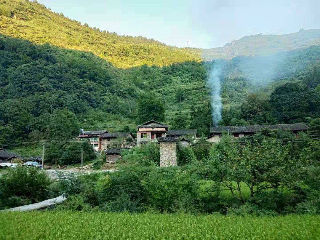 炊烟袅袅飘农舍,小河两岸稻花香.