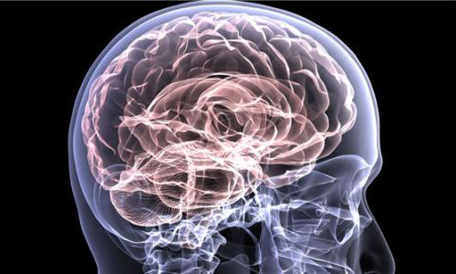 吃什么东西能让大脑清醒 383a5e243a4c45e39bf7356d39a14bdd.jpeg