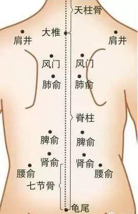 背厚1公分,人显老3岁!学会这几招,畅通背部经络