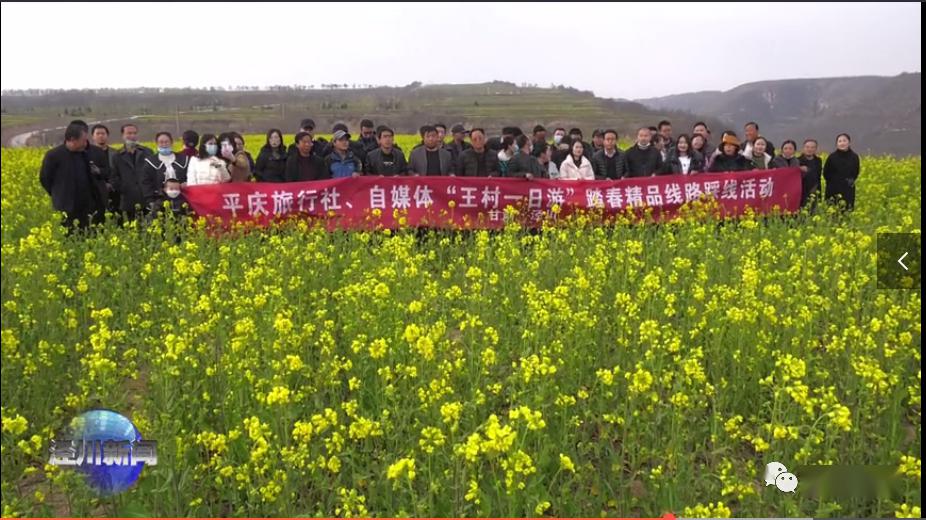 泾川文旅67王村镇开展王村一日游踏春采风活动