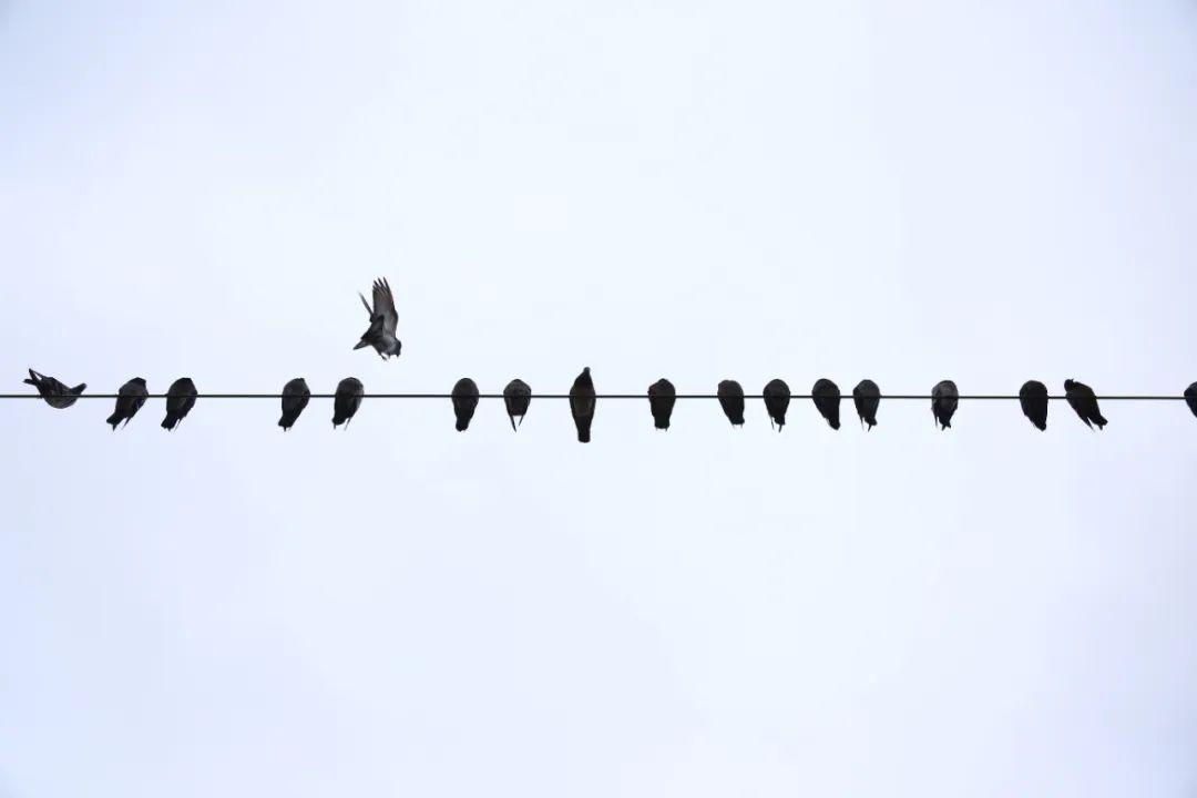 如何让自己更清爽 4d3eb82b4c4d4e78a6f0389da7ebe81a.jpeg