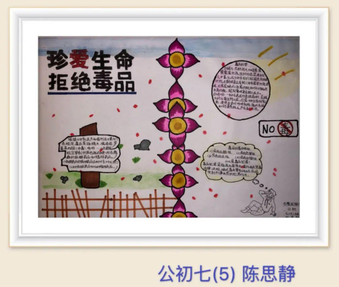 拒绝毒品,守护生活最初美好的样子——中澳学子优秀禁毒作品分享