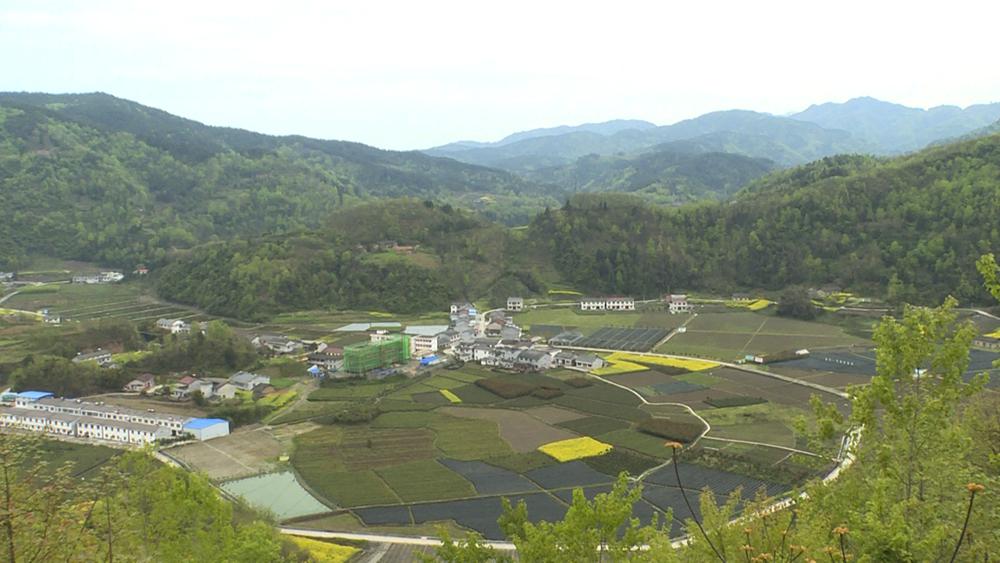 晏坝镇人口_陕西安康晏坝镇中坝村