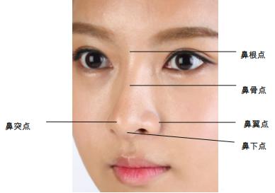 面部被包裹的脂肪组织之一 属深层脂肪,位于颊肌和几个浅层肌肉之间