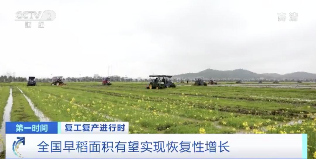 秀市镇镇人口_人口普查