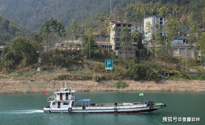 神游涪陵乌江画廊,醉美乌江鱼真与假?_白涛镇