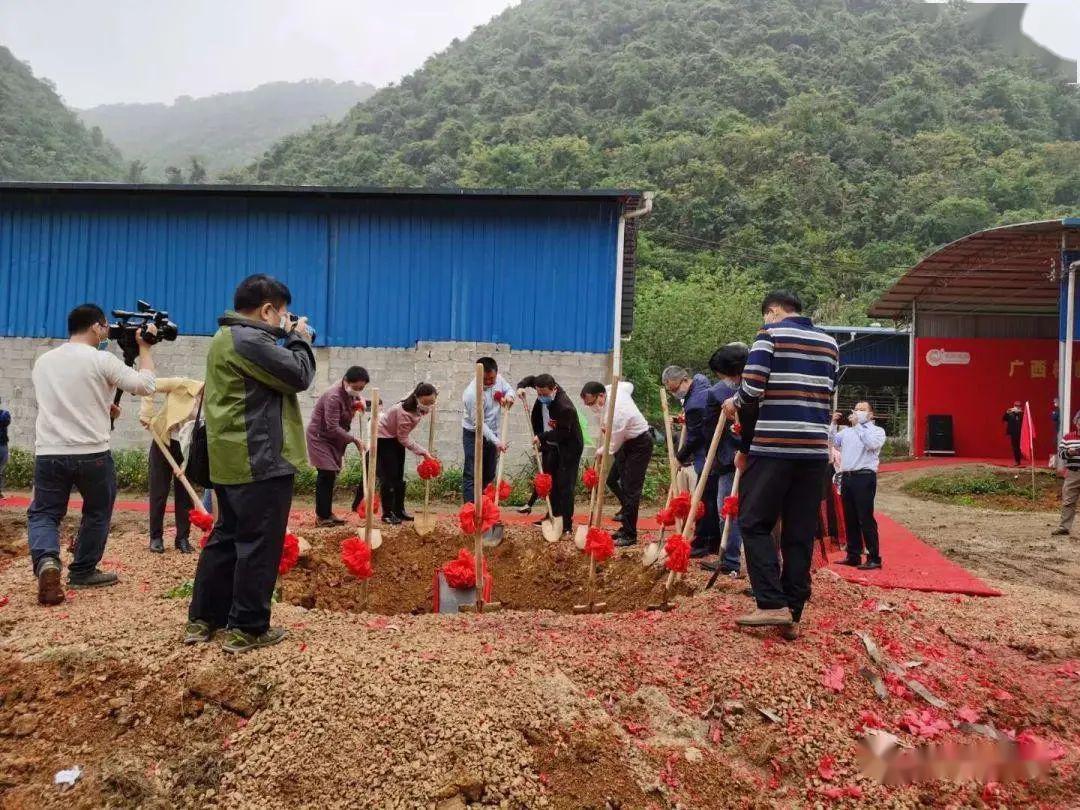 武鸣区投资12亿元项目开工