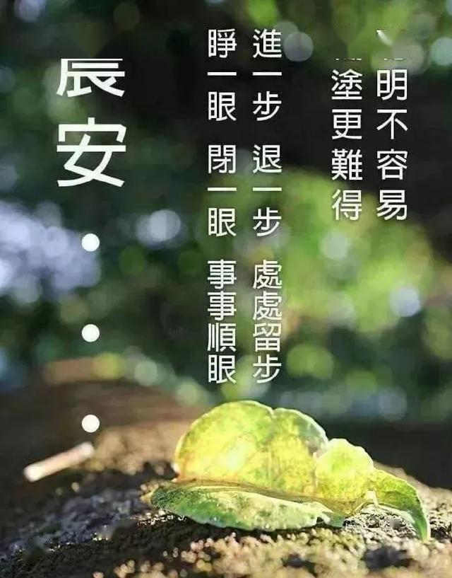 下雨天漂亮暖心的早上好动态图片 鲜花早安问候语祝福