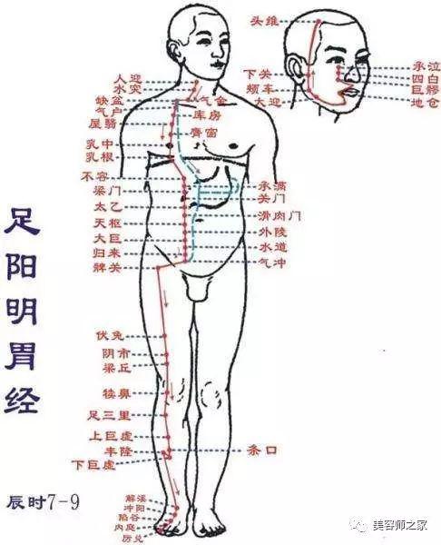 乳房走肝经春季是保养胸部的最佳时期