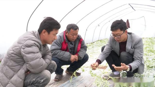 太和县郭庙镇2019经济总量_太和县双庙镇地图(2)