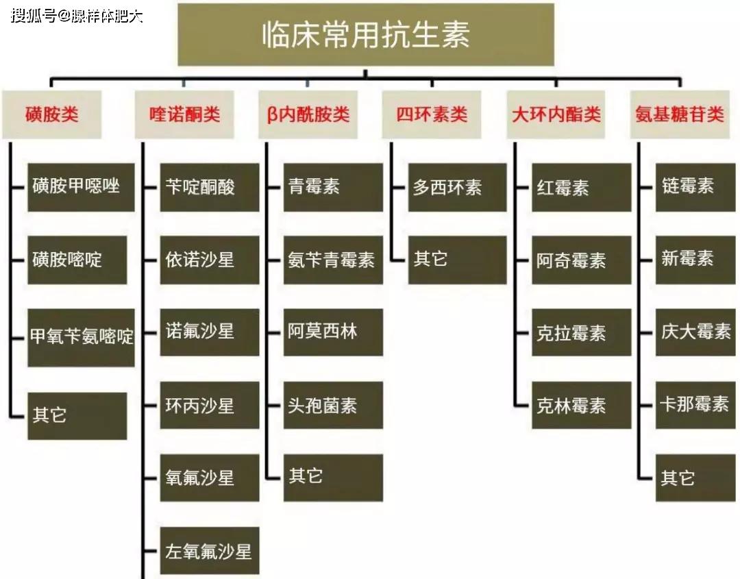 慎用抗生素！