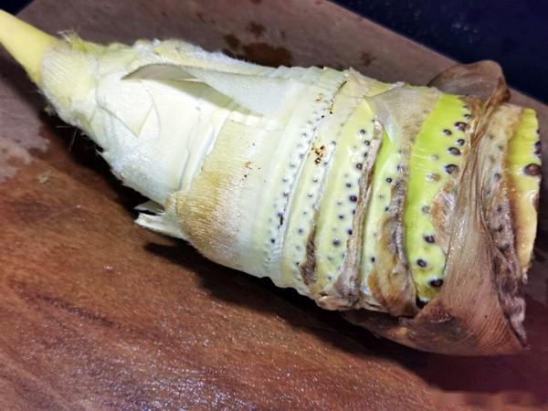 笋是竹子的哪个部位 89543c66686a40279221898e8d543106.jpeg