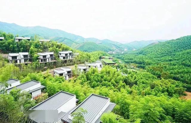 上海周边300亩竹海茶园,藏在山谷里长出来的绿奢度假村丨慧心谷