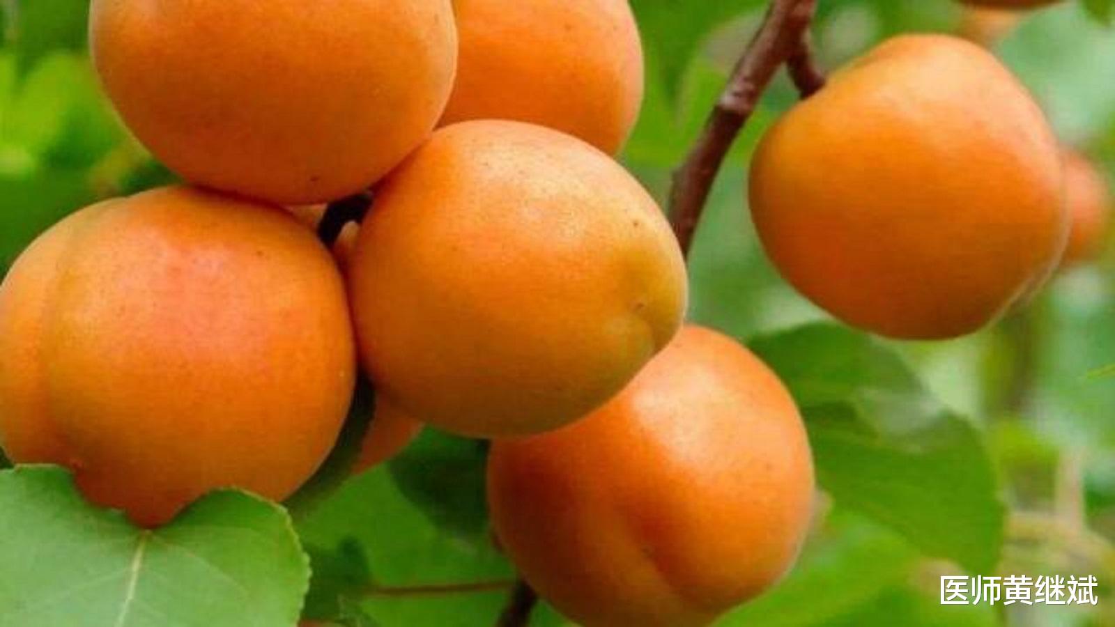 富含多种人体必需维生素 多吃能改善肤质 杏子的功效有哪些 食用
