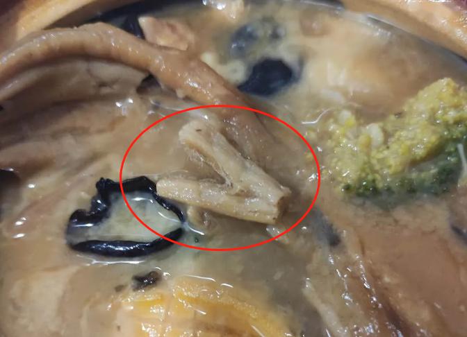 看见这东西可把网友给恶心到全没食欲